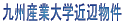 ��B�Y�Ƒ�w�ߕӕ��� 